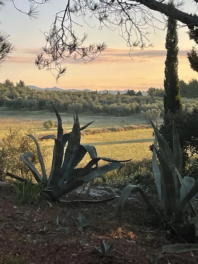 Bed and Breakfast Mas Des Alpilles Maussane-les-Alpilles Bed & Breakfast